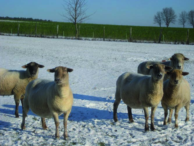 Winter 2012 016
