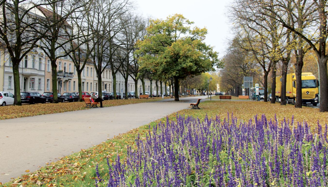 hegelallee-01
